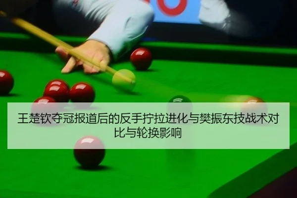wang-chu-qin-duo-guan-bao-dao-hou-de-fan-shou-ning-la-jin-hua-yu-fan-zhen-dong-ji-zhan-shu-dui-bi-yu-lun-huan-ying-xiang-2-593.jpg